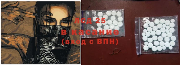 МДПВ Ельня