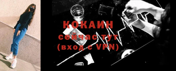МДПВ Ельня