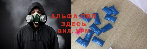 МДПВ Ельня