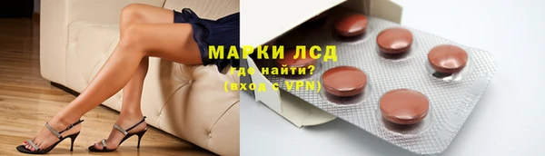 МДПВ Ельня